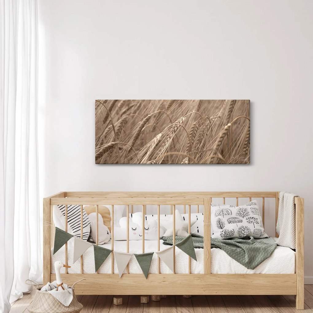 Kép - Az arany mező (120x50 cm)