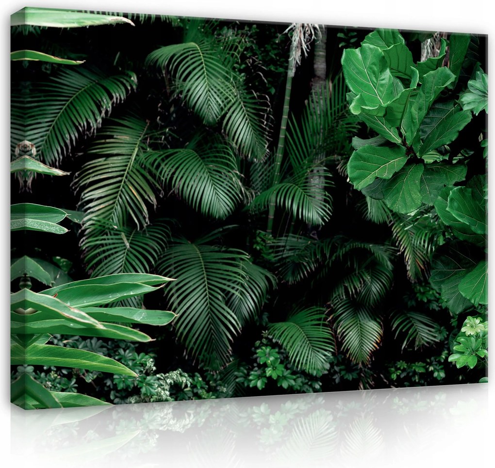 Vászonkép 80x60 Trópusok zöld levelek dzsungel természet frissesség nyugalom