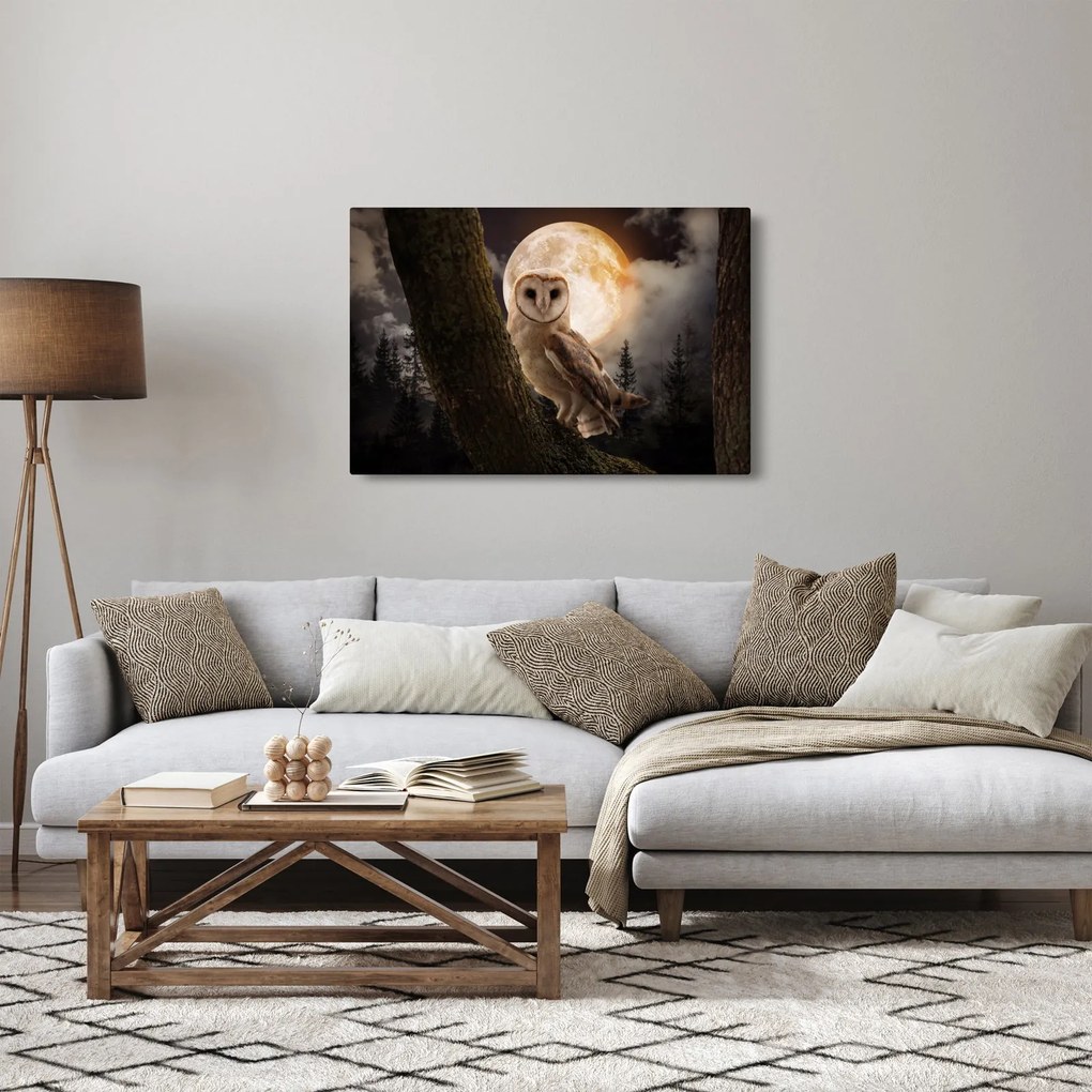 Egy gyöngybagoly képe (90x60 cm)