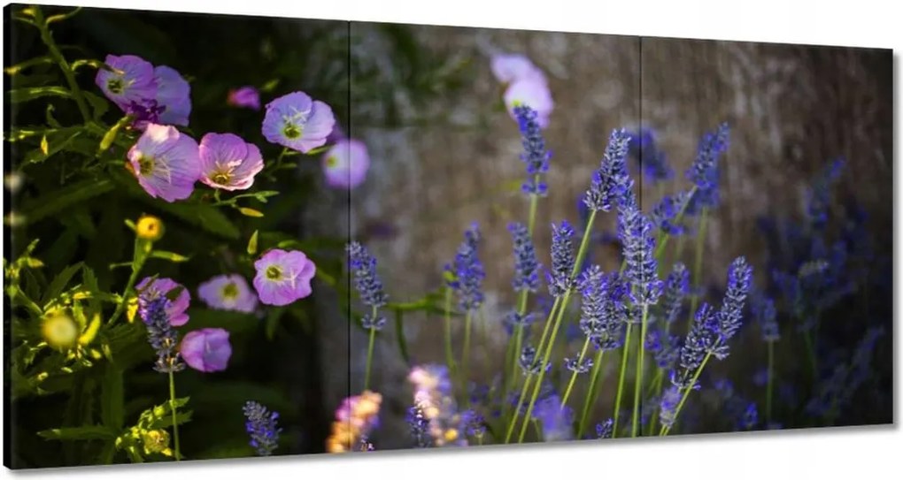 Festmények 120x60 Levendula