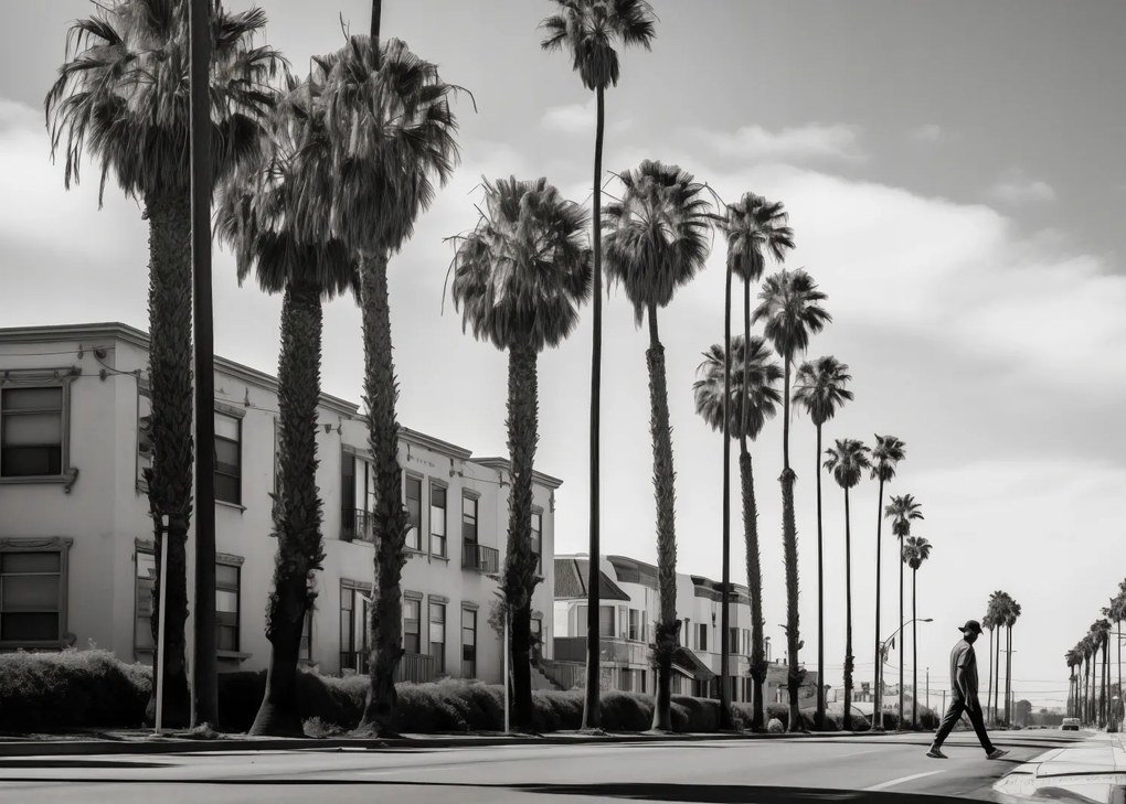 Poszter 35x25cm Séta a pálmafák árnyékában