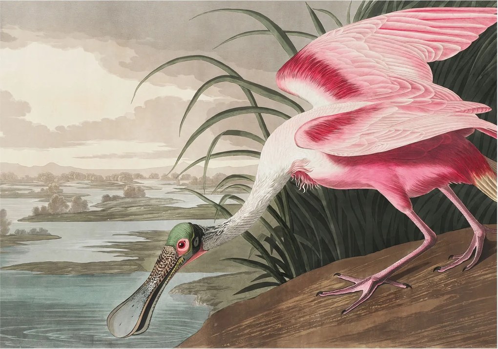 Flizelin tapéta Divatos 3D fali ragasztó Egzotikus madár 312x219 Ragasztó