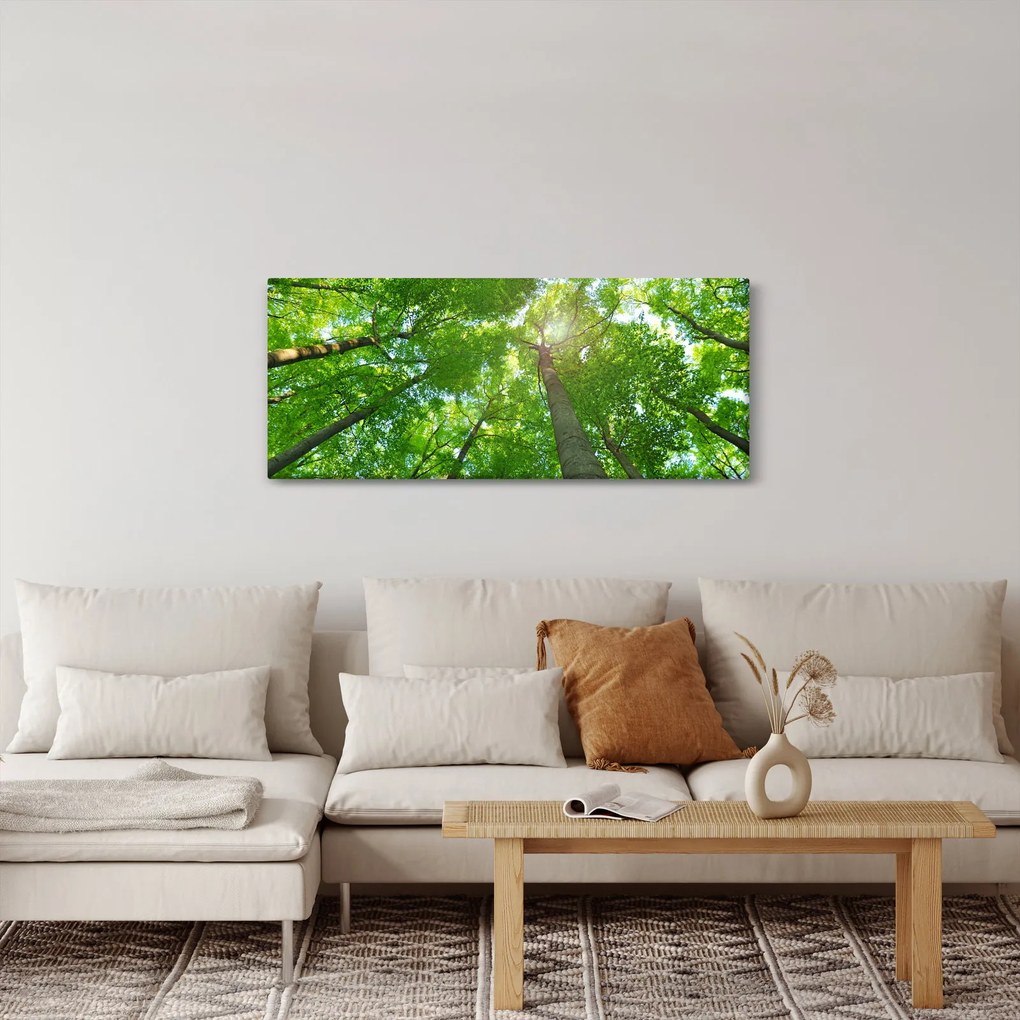 Kép - Erdő (120x50 cm)