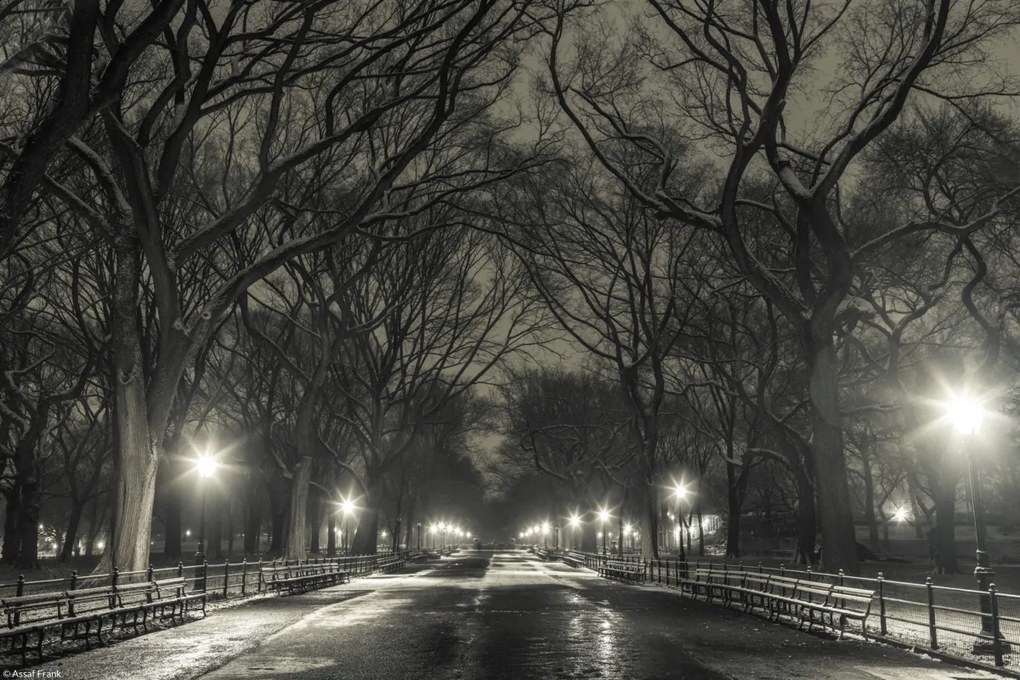 Poszter 30x20cm Éjszakai kilátás a Central Parkon át vezető útra, Assaf Frank