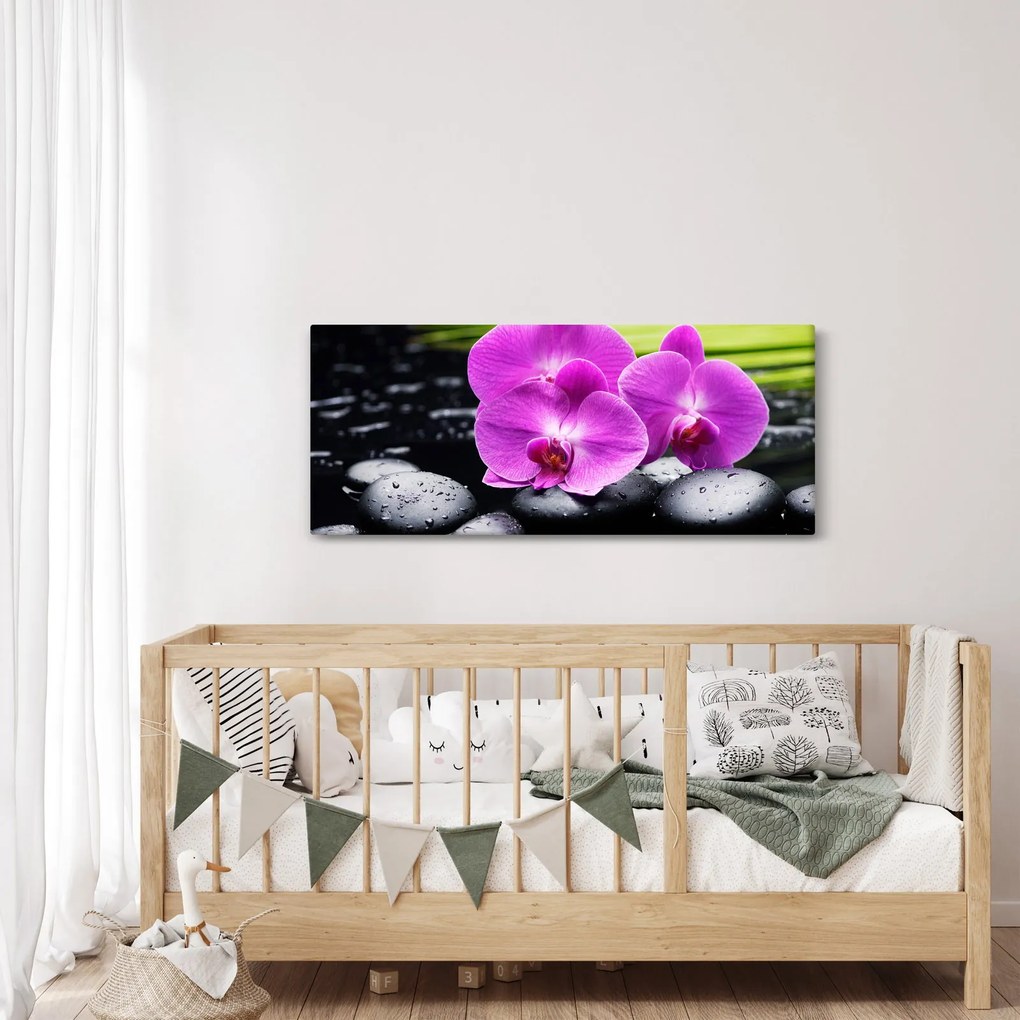 Kép - Orchideák (120x50 cm)