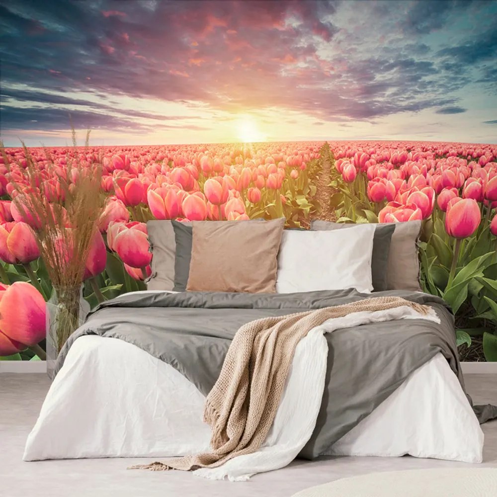 Öntapadó tapéta napkelte tulipánok felett