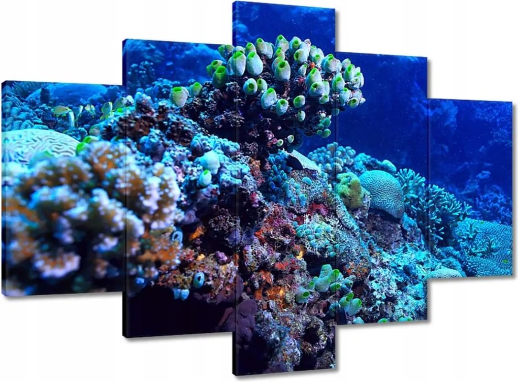 Képek 150x105 Víz alatti korallzátony