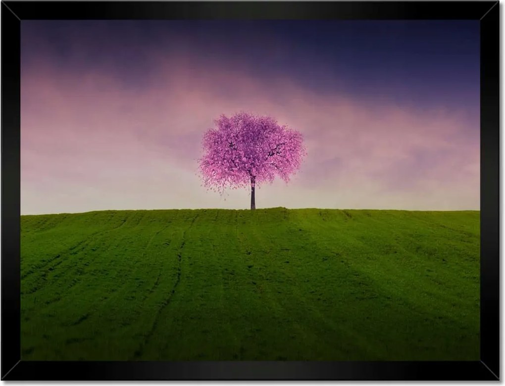 Poszterek keretben 40x30 Malackafa