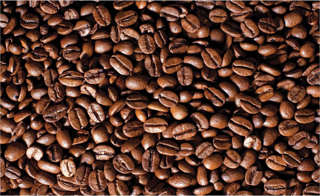 Fotótapéta Kávébab aroma a falon vinil 208x146 +ragasztó