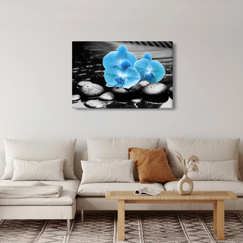 Kép - Kék orchidea (90x60 cm)