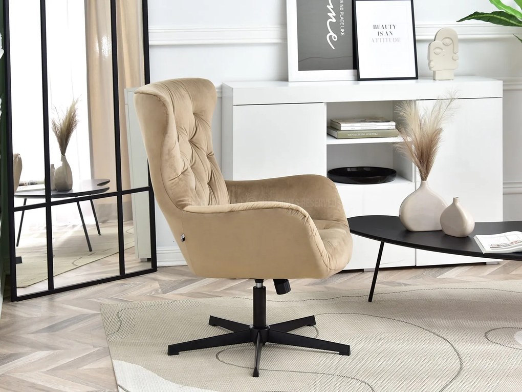 Fotel Aaron (bézs + fekete). 1109871