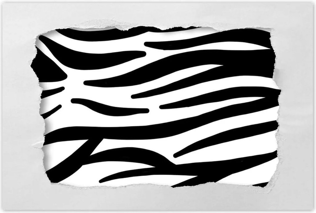 Poszterek 60x40 Zebra csíkos