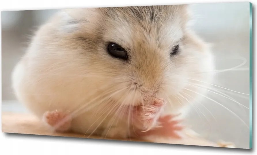 Fotó-kép fotó edzett üveg Hörcsög 100x70