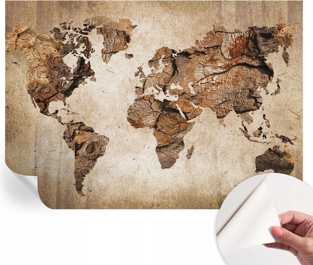 Öntapadós fotótapéta Nappali és Hálószoba irodába Fa térkép 208x146