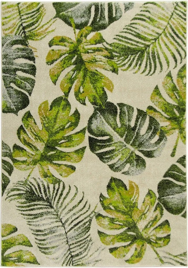 240x330 cm Szőnyeg Levél Monsteray Pálmafák Zöld