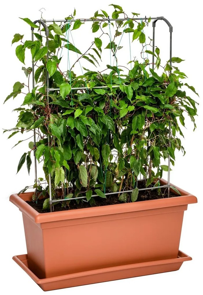 Gardenico Magnus terrakotta virágláda, 80 cm, 80 cm