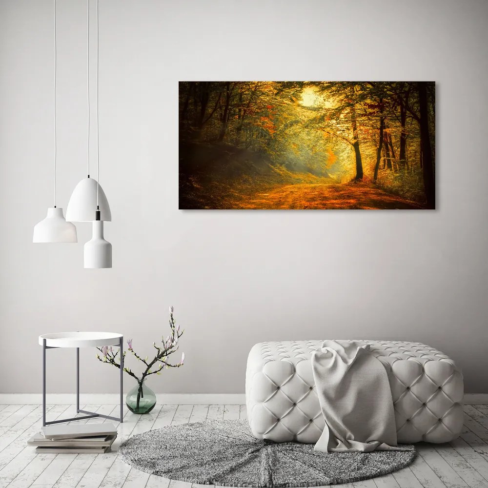 Vászon nyomtatás Erdő ősszel pl-oc-120x60-f-60738927