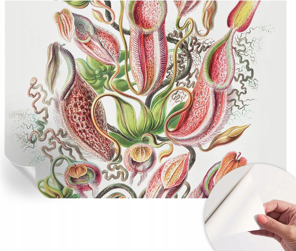 Öntapadós tapéta Divatos 3D fali ragasztó Növényi részletek 312x219 cm