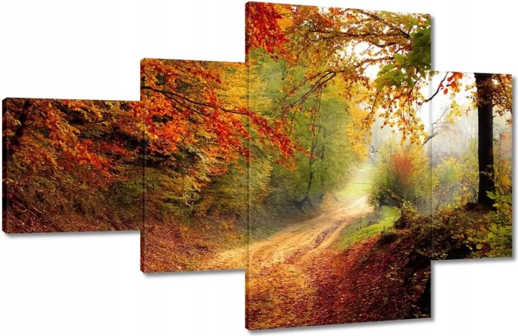 Képek 130x80 Út az erdőben ősz