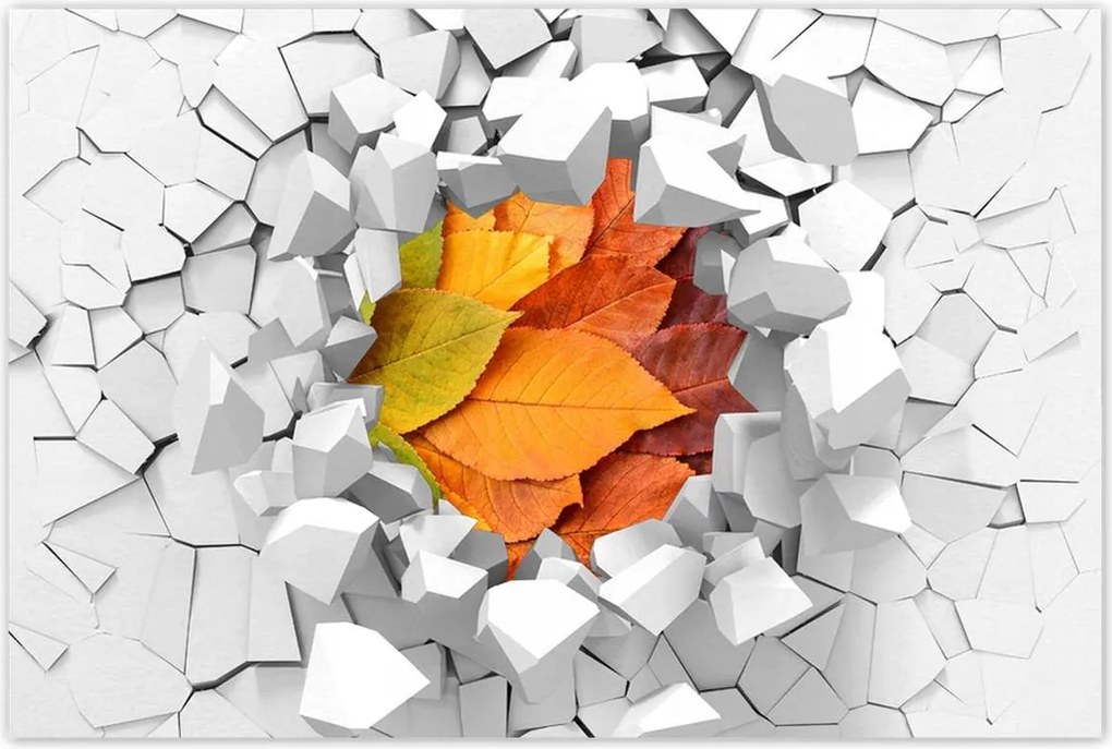 Poszterek 90x60 Őszi színes levelek Levelek az ősz színeiben