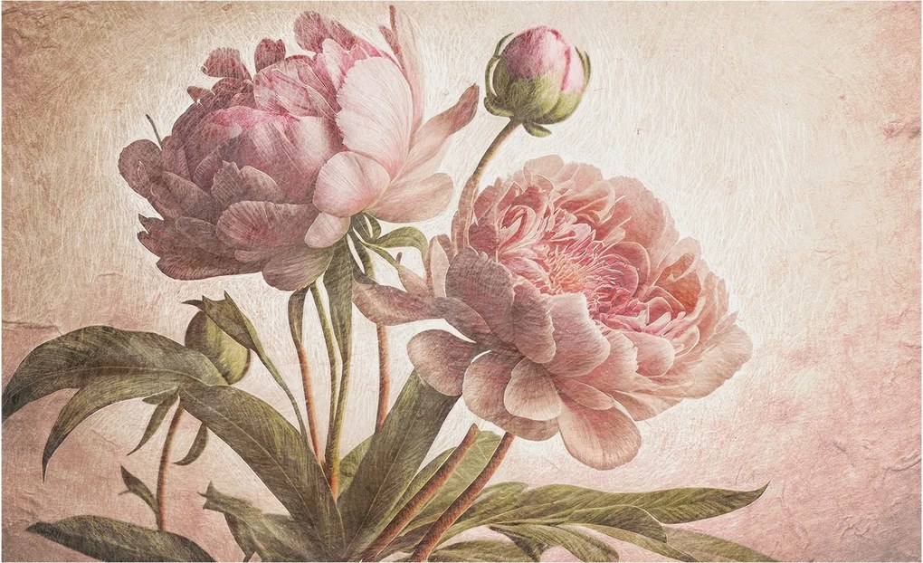 Fali fotótapéta előszoba konyhába Finom bazsarózsa 416x254 ragasztó