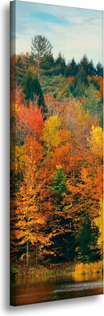 Vászonkép Színes Levelek Fák Ősz Természet 40x120 cm