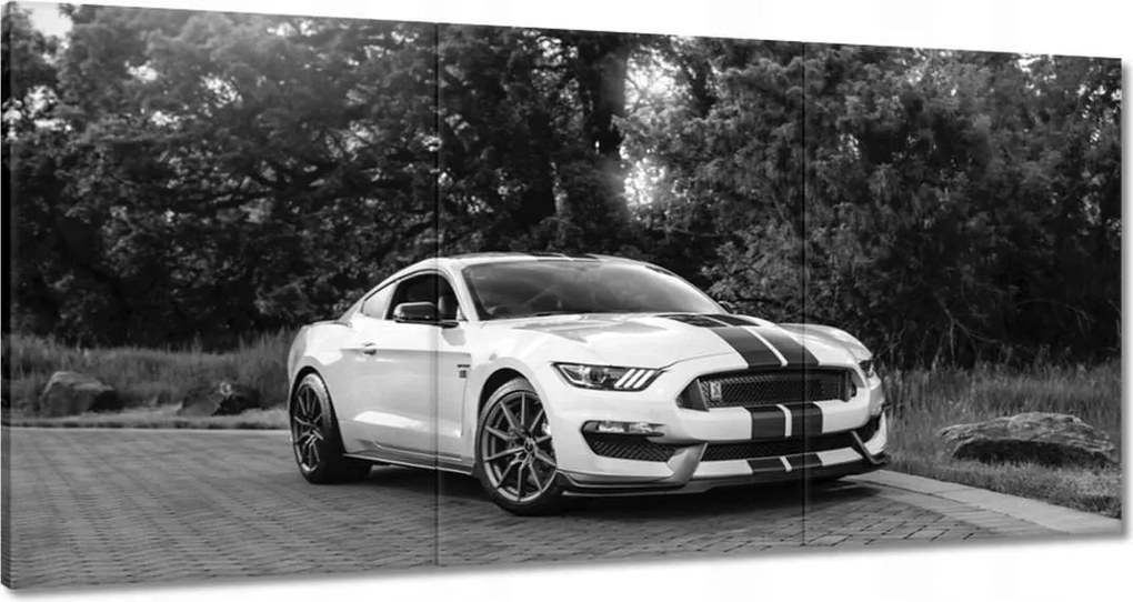 Vászonkép 60x30 Sportos Ford Mustang
