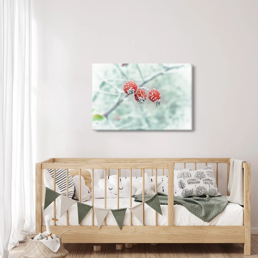 Fagyasztott csipkebogyó képe (90x60 cm)