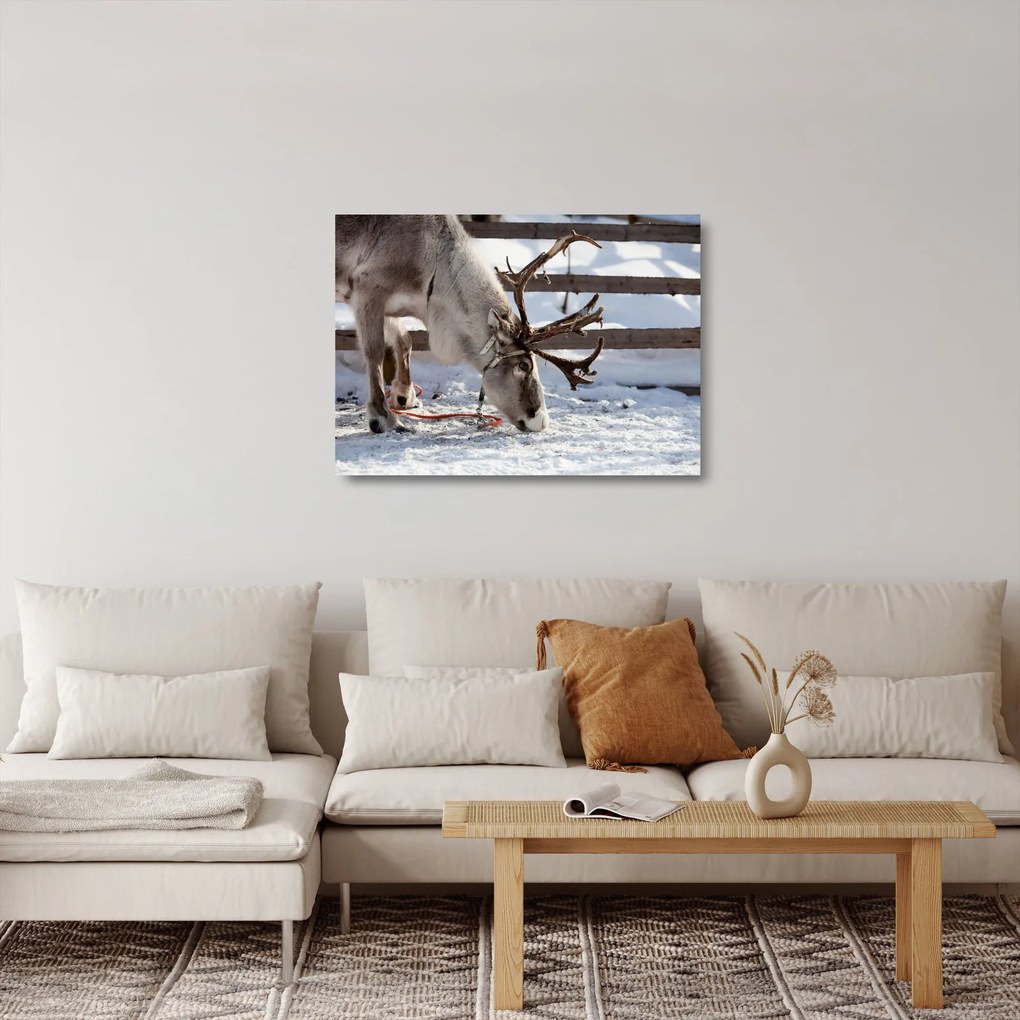 Üveg kép - Sat (70x50 cm)