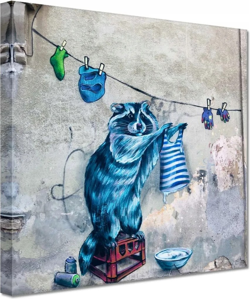 Vászonkép 20x20 Mosómedve mosómedve graffiti csíkok
