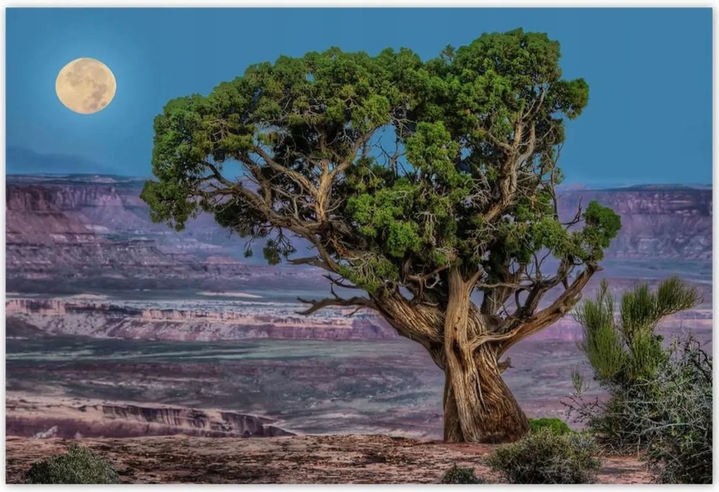 Poszterek 155x105 Kilátás Tájkép