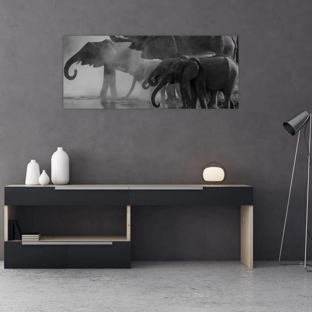 Elefánt képe - fekete fehér (120x50 cm)