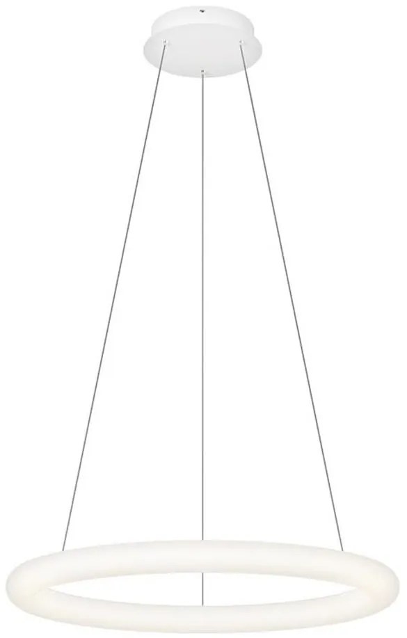 Top Light - LED dimmelhető kábeles csillár RINGO LED/40W/230V 3000-6500K fehér + távirányító