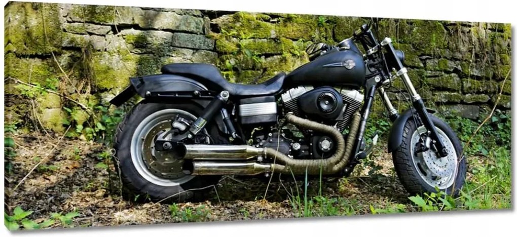 Festmények 100x40 Harley-val a kiránduláshoz