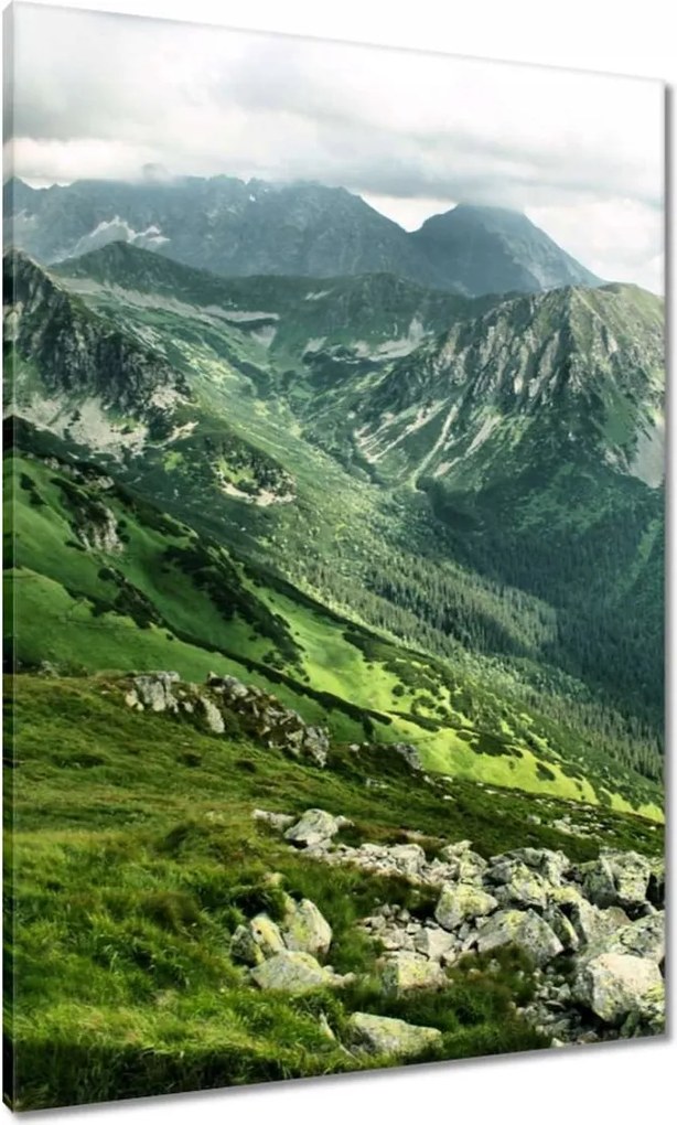 Vászonkép 70x100 Tátra Lengyel hegyek Kilátás