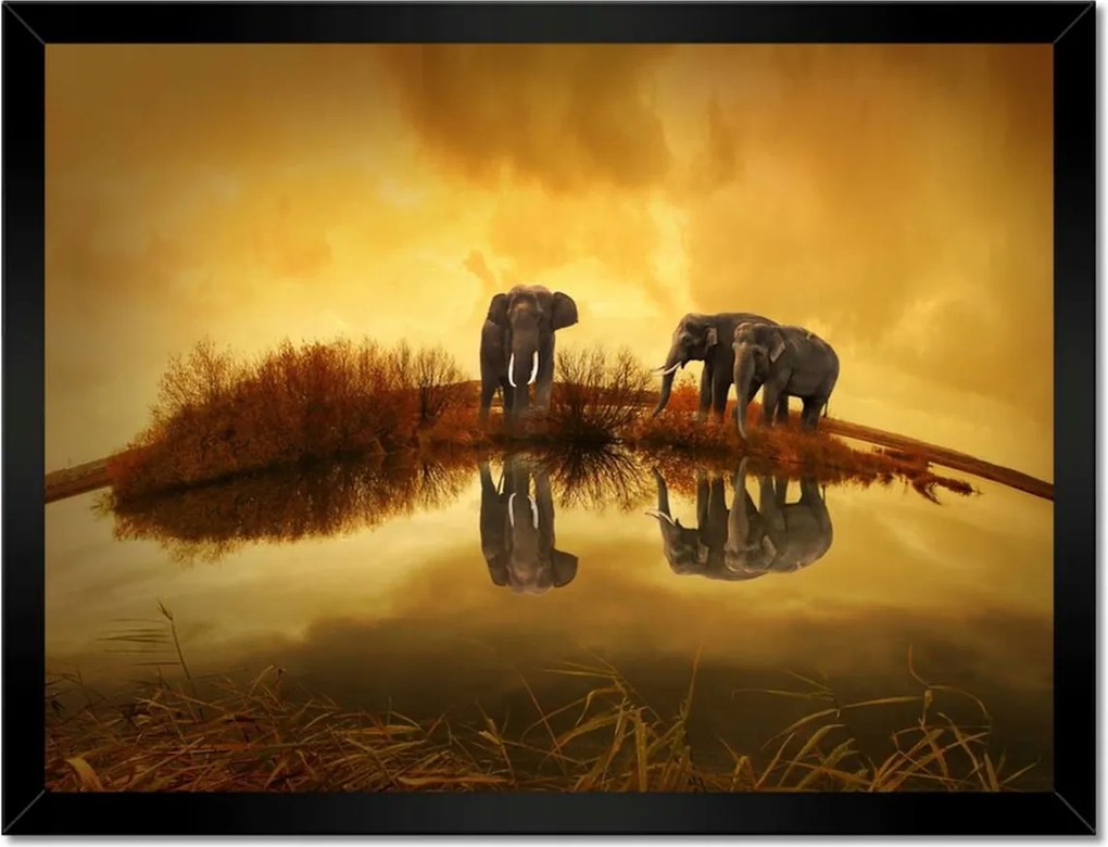 Poszterek keretben 40x30 Elefántok a vízparton
