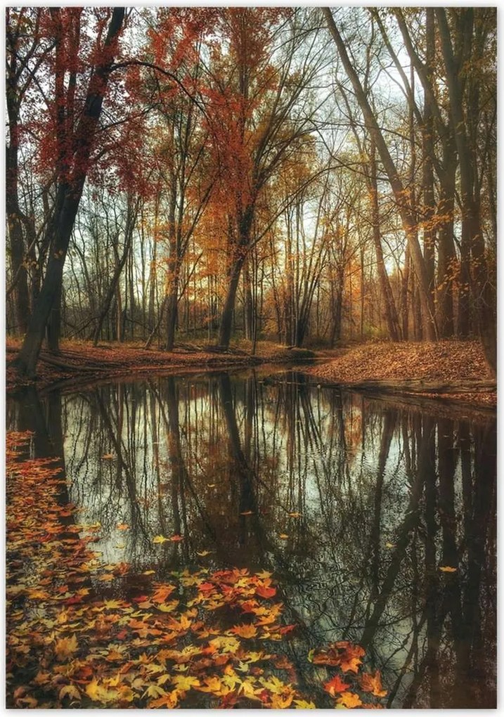 Poszterek 70x100 Őszi táj Tájkép