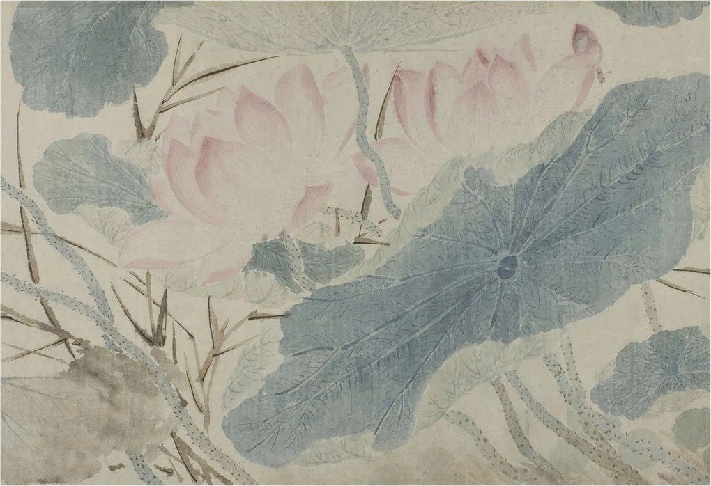 Dekoratív Fotótapéta Hálószoba Lótusz levelek 152x104 Ragasztó