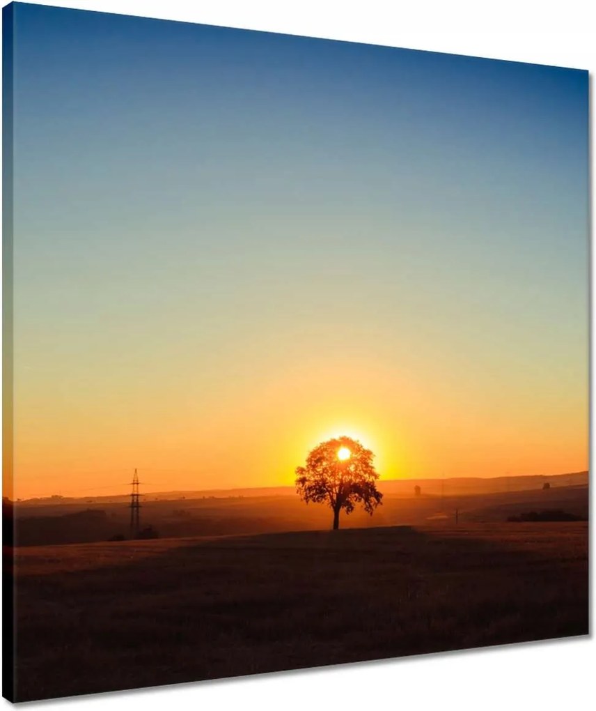 Vászonkép 50x50 Kilátás Tájkép