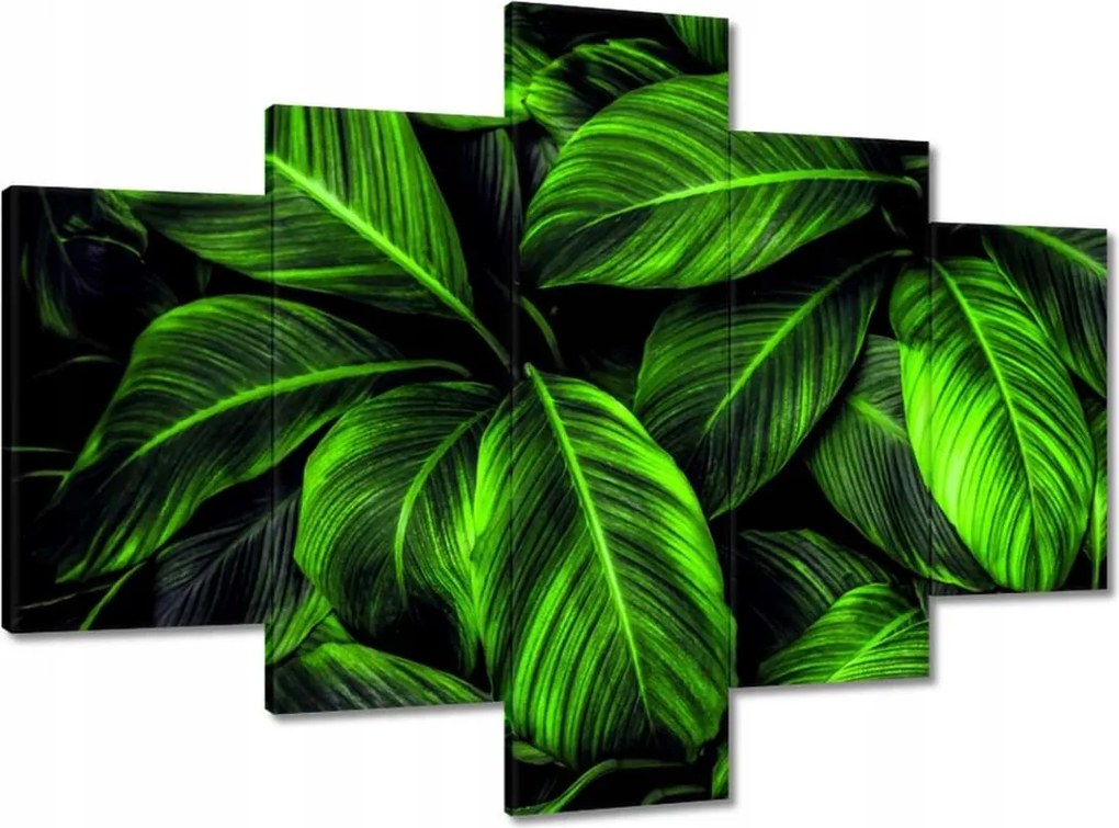 Vászonkép 100x70 Zöld levelek