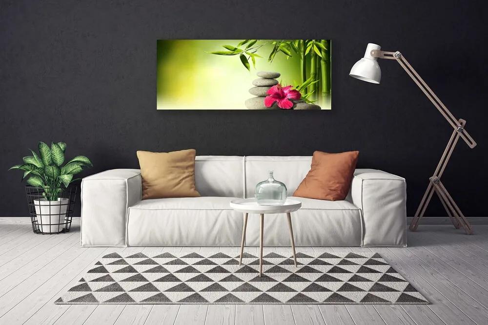 Vászonkép nyomtatás Virág bambusz Zen kövek 120x60 cm