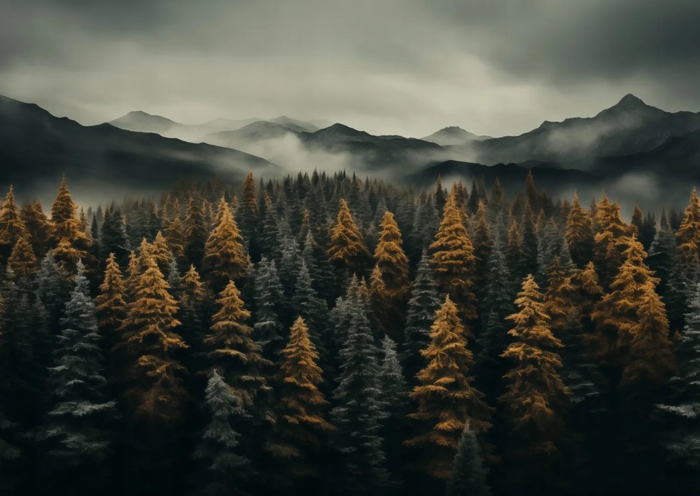 Poszter 84x59,5cm Ködös reggel