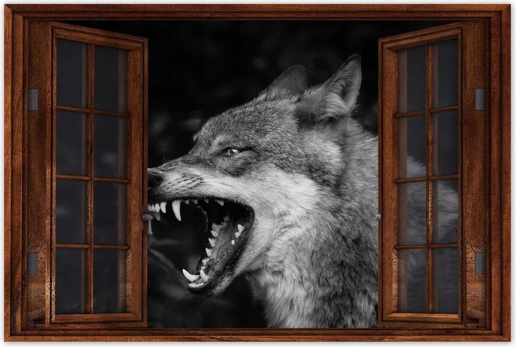 Poszterek 90x60 Természet Emberség