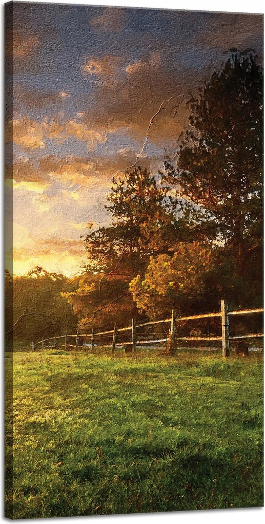 Vászonkép Nap Tájkép Falusi fák Rét 40x80 cm
