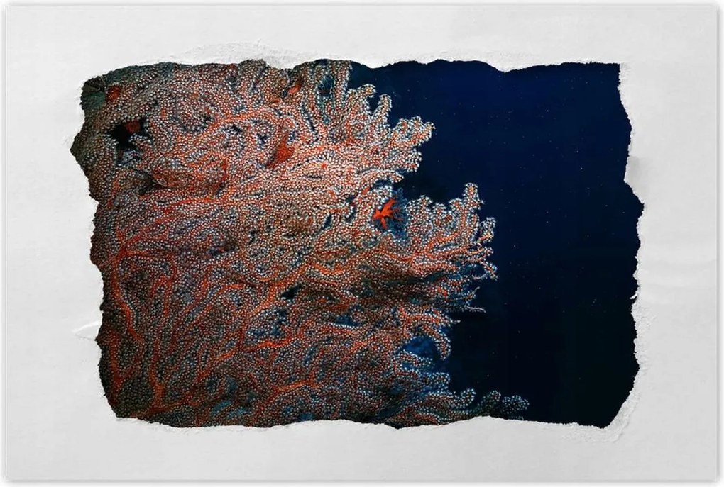 Poszterek 90x60 Kék óceán zátonyokkal