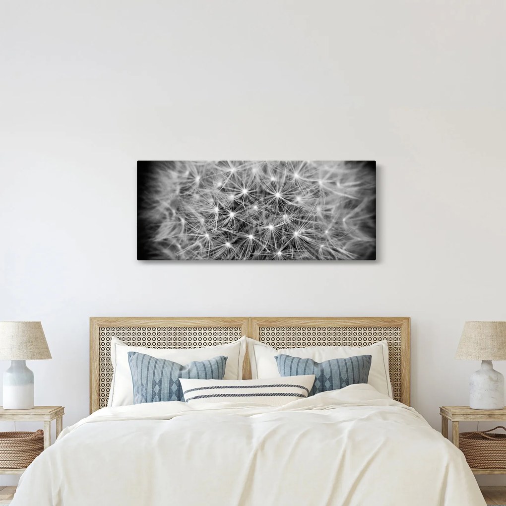 Szürke pitypang képe (120x50 cm)