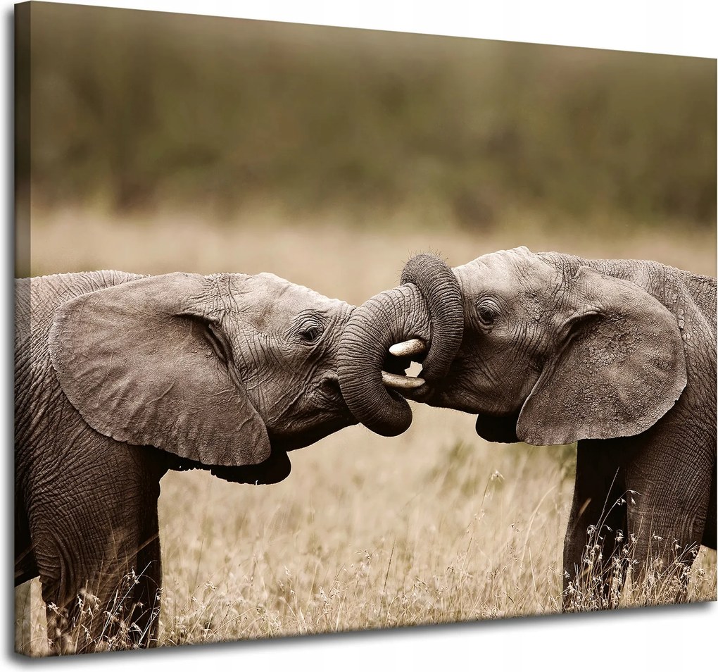 Vászonkép Elefántok találkozása Afrika Természet 100x80 cm Ideális ajándék