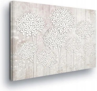 Vászonkép 80x60 Finomság könnyedség virágok textúra minimalizmus pasztell bézs fehér