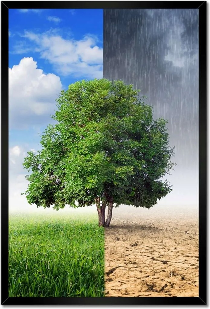 Poszterek keretben 40x60 Esős évszak