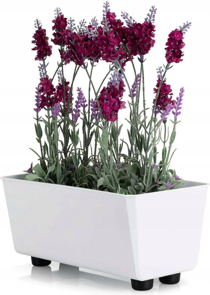 Virágtartó láda gyógynövények Fehér Lábakon műanyag hosszú 29 cm
